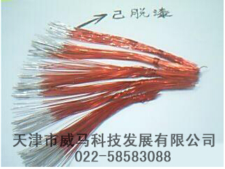 【脫漆劑】"不脫漆，何以蛻變？"